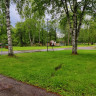 Borås Camping Saltemad