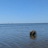 Solhejdan Naturistcamping