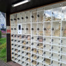 Wohnmobilstellplatz Jagel