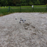 Stołowog&oacute;rski Camping nr 26