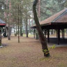 Siamoszyce kemping nr 244