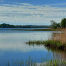 Sturkö Camping