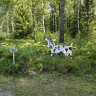 Tisarstrands Camping