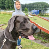 Degern&auml;s Camping