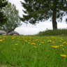 Filipsborgs Herrg&aring;rd