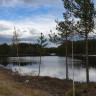 Arctic Camp Jokkmokk