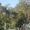 Falsterbo Camping & Resort