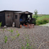 Bent Shelter og Teltplads