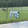 Skogsvallen i Ale