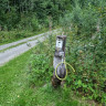 Ströckan Naturcamping