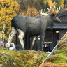 Kongsmark Hytteferie
