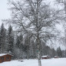 Hammarstrands Camping