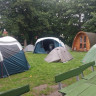 Downtown Forest Hostel &amp; Camping