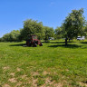 Sunny Nights Camping &amp; Homestead