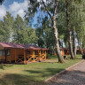 Vitrūna