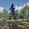 Vitrūna