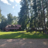 Vitrūna