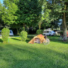 Goldberg-Camping Mörslingen