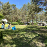 Wald- & Naturcampingplatz am Tonsee Süd