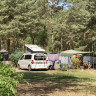 Wald- & Naturcampingplatz am Tonsee Süd