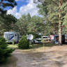 Wald- & Naturcampingplatz am Tonsee Süd
