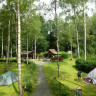 Waldcamping-Thalheim