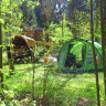 Waldcamping-Thalheim