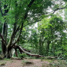 Parkering Stenshuvud Nationalpark