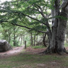 Parkering Stenshuvud Nationalpark