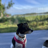 KustCamp Ek&ouml;n