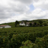 Weingut in den Weinbergen