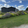 DanCamps Kolding