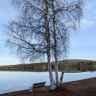 Lappland Camping Moskosel