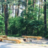Kempings Jūrmalā Neptūns