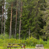 Dream Camp