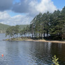Husborn Friomr&aring;de