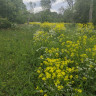 Nationalpark Garphyttan