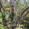 Nationalpark Garphyttan