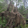 Nationalpark Garphyttan
