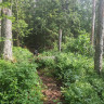 Nationalpark Garphyttan