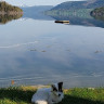 Saltkjelsnes Camping