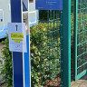 Wohnmobilstellplatz Schleswig, Stadthafen
