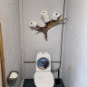 Lerkulans &Auml;ventyr &amp; Allfix
