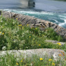 Pluscamp Saltstraumen Camping