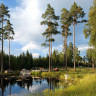 S&ouml;tterf&auml;llan G&aring;rd