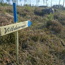 S&ouml;tterf&auml;llan G&aring;rd