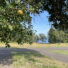 Tegelviken Naturcamping