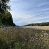 Tegelviken Naturcamping