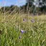 Tegelviken Naturcamping