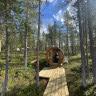 LaplandLiv Glamping
